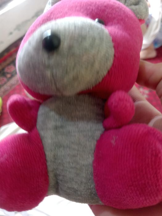 Ayiqcha  boʻyi 15 santimetr optom narxda