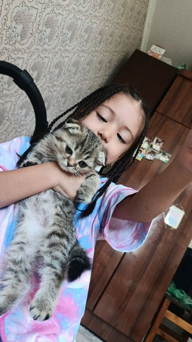 Mushukchalar sotiladi