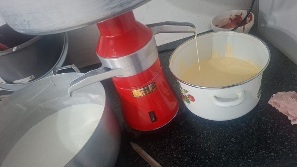 Сметана Молоко Творог Курт Яйцо
