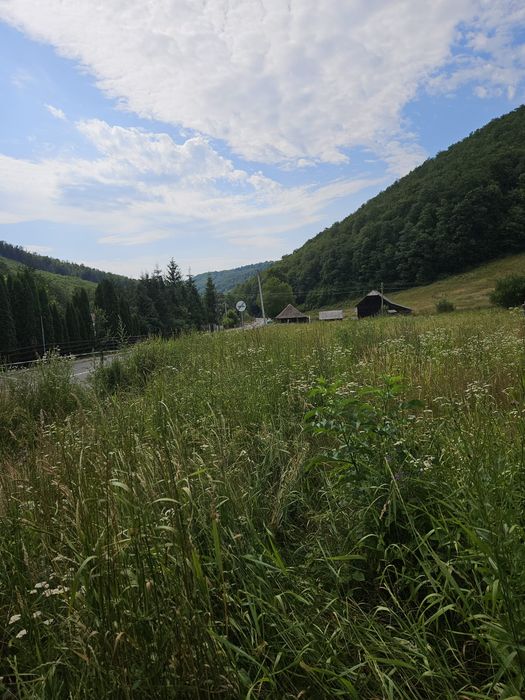 Teren intravilan