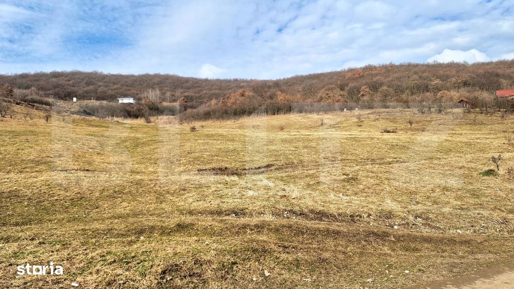 Teren intravilan 4100 mp in Floresti | Parcelabil | Zona de padure