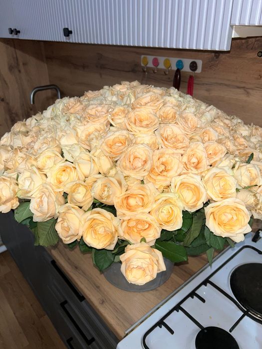 Цветы роза 201штук торг есть