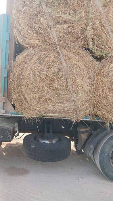 Шөп. сено рулон.