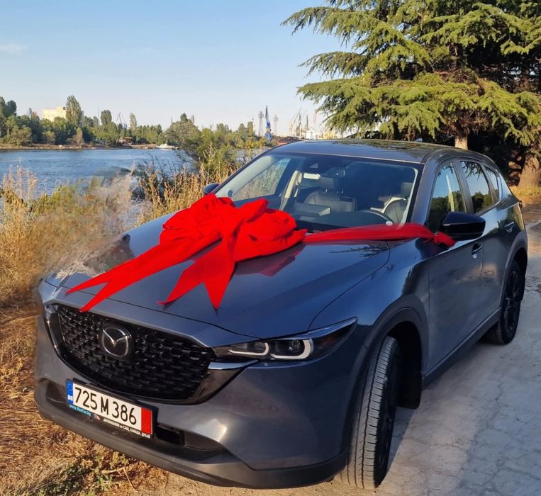 Голяма Пандела/панделка за Автомобил/кола