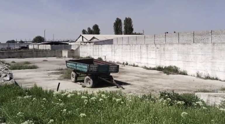 Продаются две фермы в Юкори чирчикском р-не (Ободон) 2,2га+1,02га