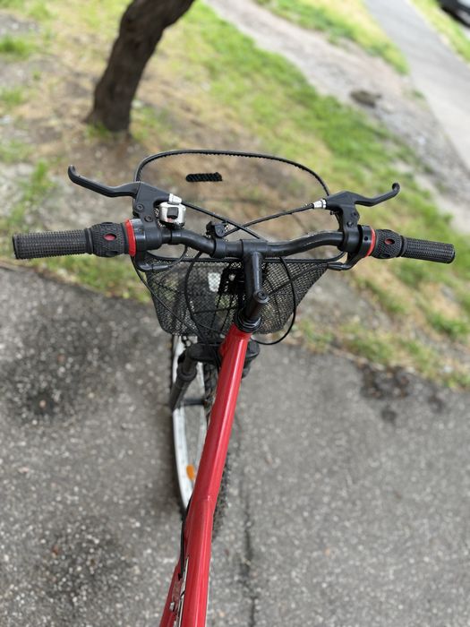 Bicicleta rosie.