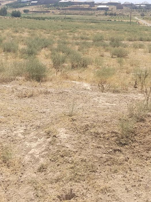 Yer sotiladi 10 sotix