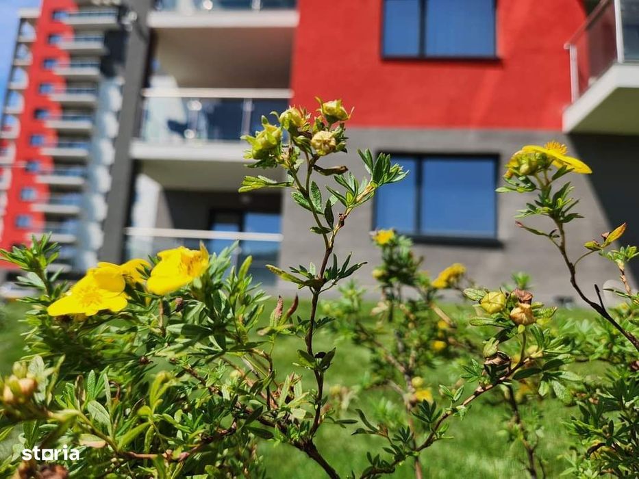 Apartamente noi, 1 camera, tip studio finisate in Green Residence
