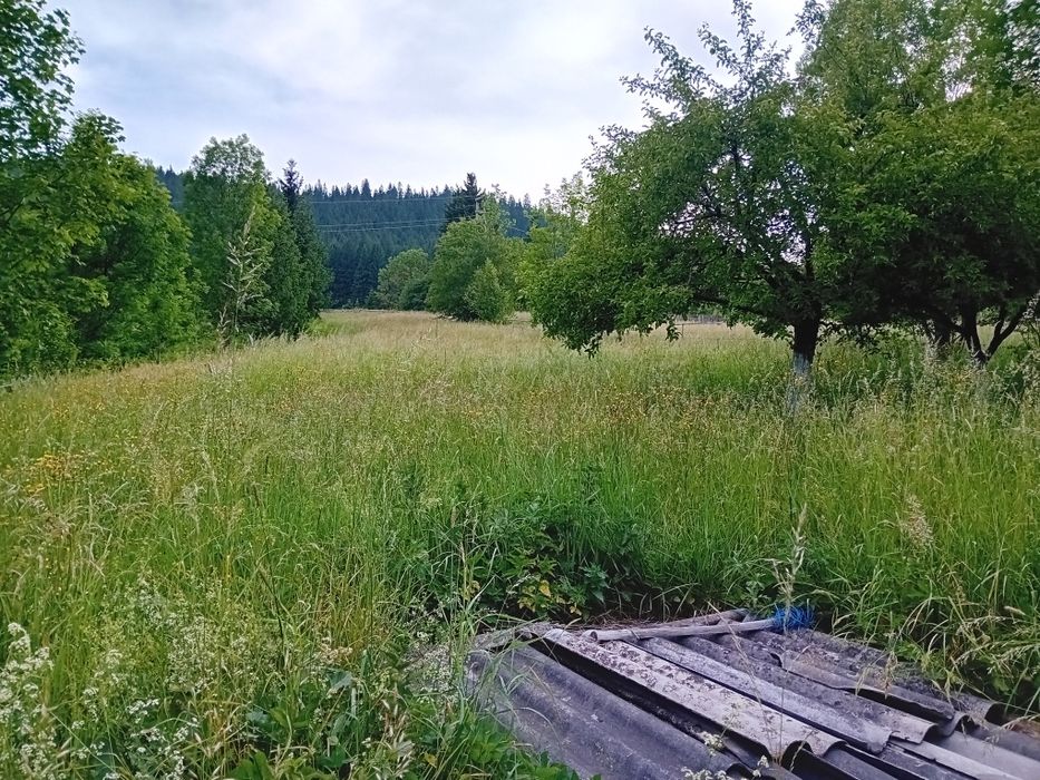 Casa și teren intravilan Câmpulung Moldovenesc