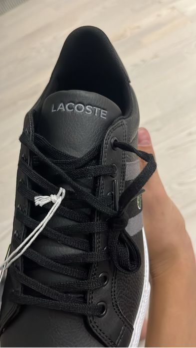 Кеды lacoste лакосте