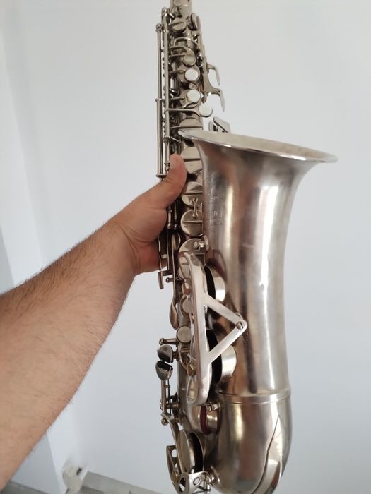 Kohlert Regent winniden 59.