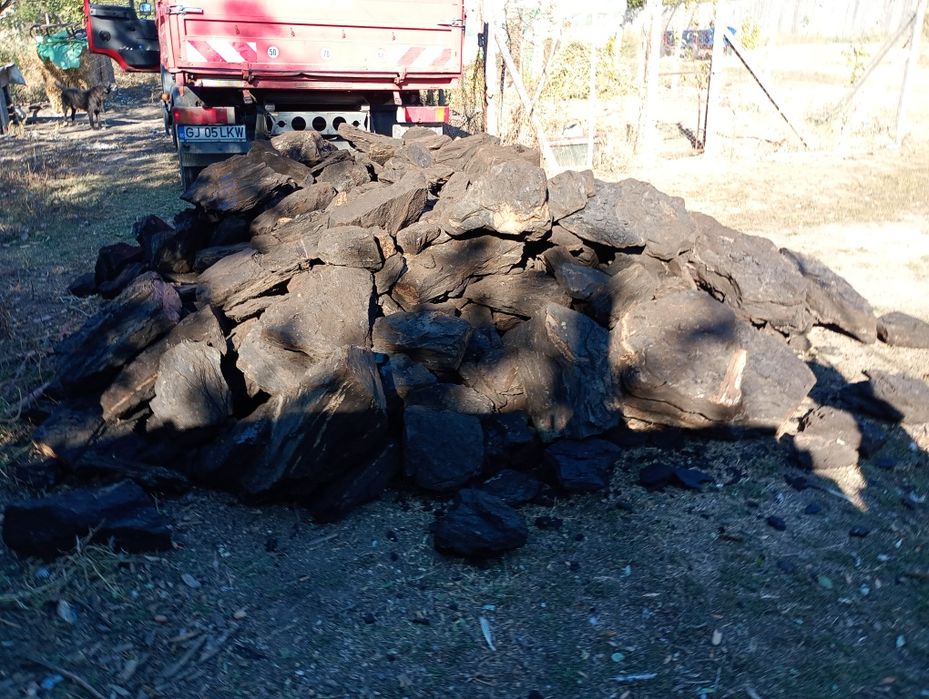 Cărbune lignit  calitate extra