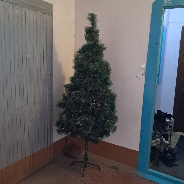 Продоётся ёлка в хорошем состояний