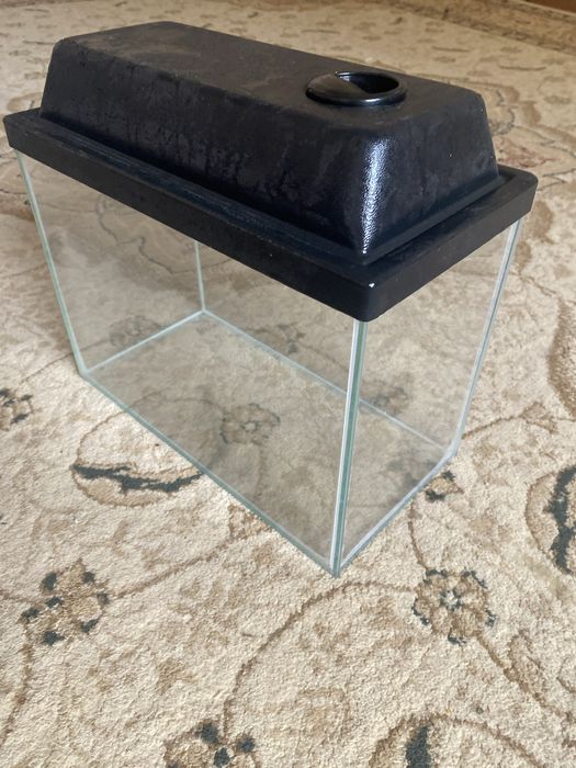 Аквариум в хорошем состояние