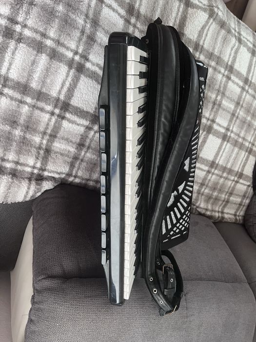 Acordeon cu camera dubla