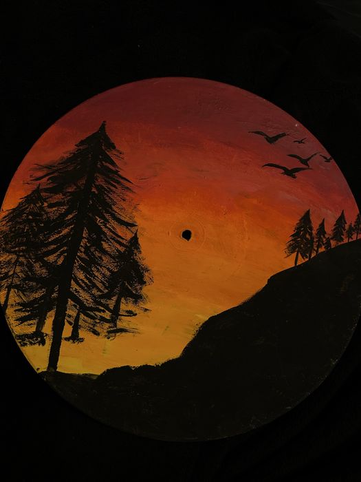 Изрисувани грамофонни плочи