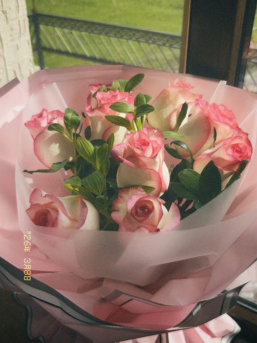 9 штук роза голландские