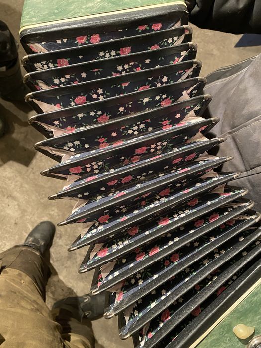 Гормонь в хорошем состоянии