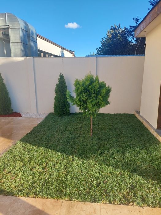Amenajări grădini ,gazon rulou