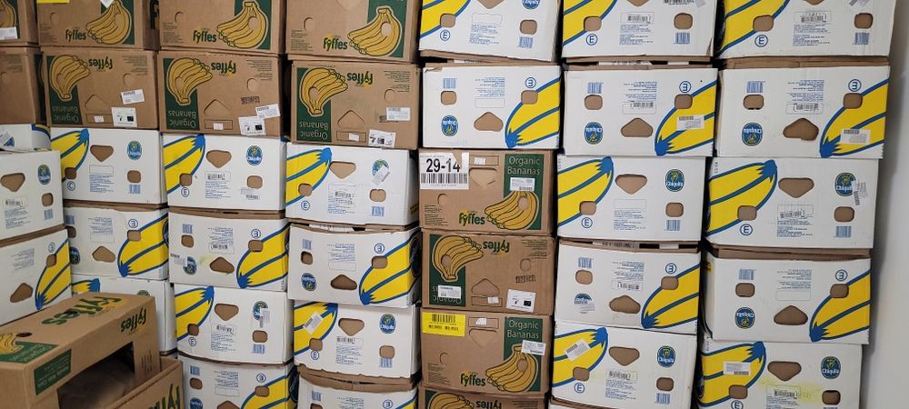 Baxuri- Cutii BANANE