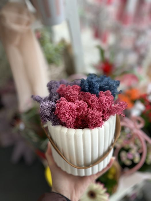 Скандинавски мъх