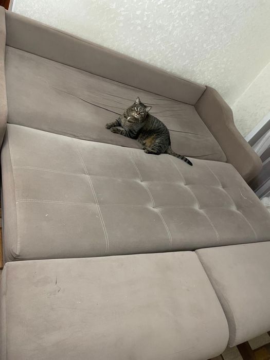 Срочно отдам диван в дар