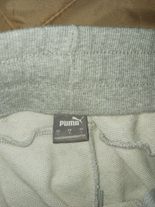 Анцузи на Пума...