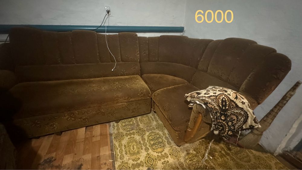 Дивен для дачи недорого