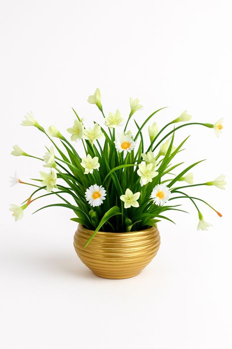 Anal porno kostyumlar