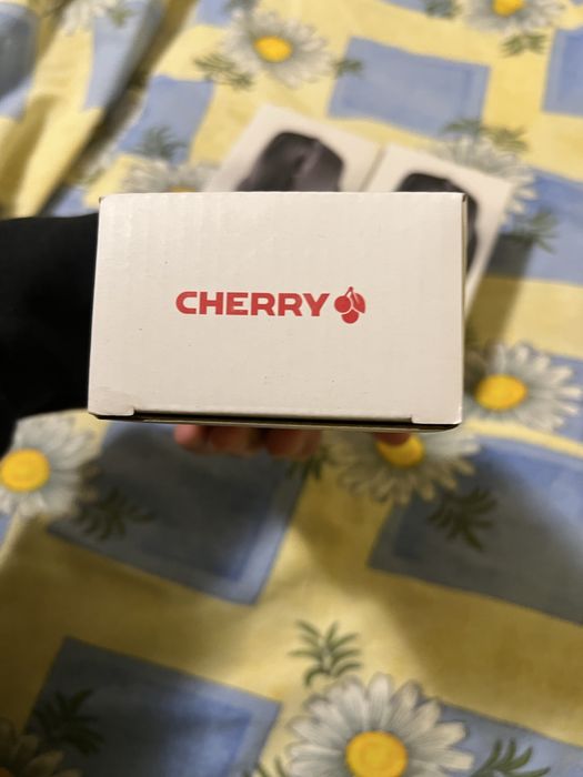 Moise wireless MW 300