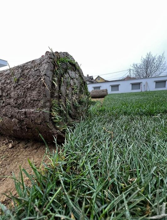 Gazon natural și artificial,montaj