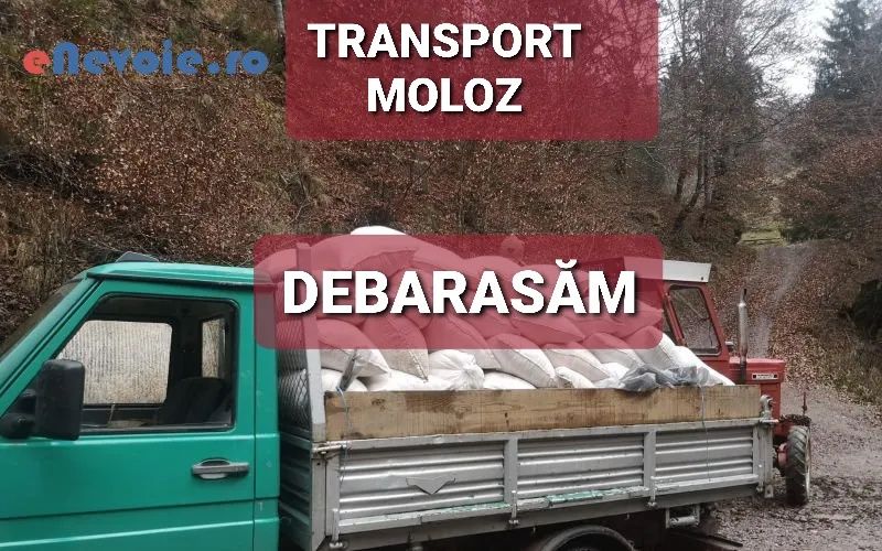 Transport moloz,decopertare gresie,demolari