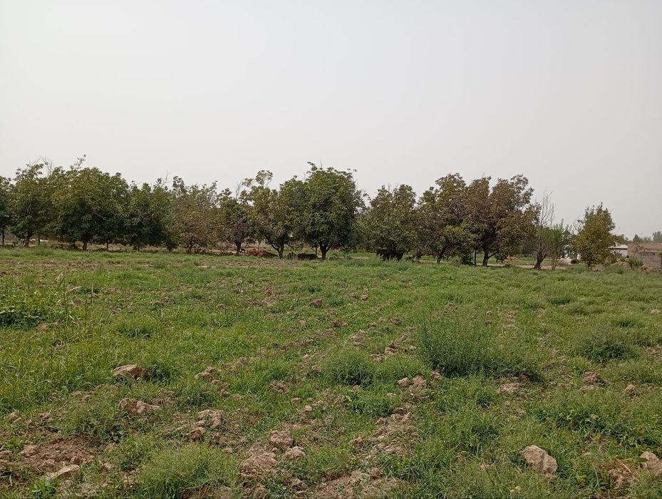 Bandixon tuman markazida. 50 sotix uy joy qurish va dehqonchilik maqsa