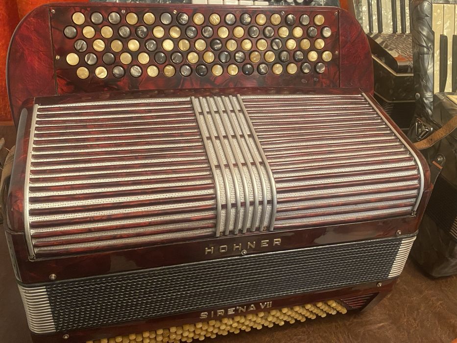 Acordeoane Hohner si armonica