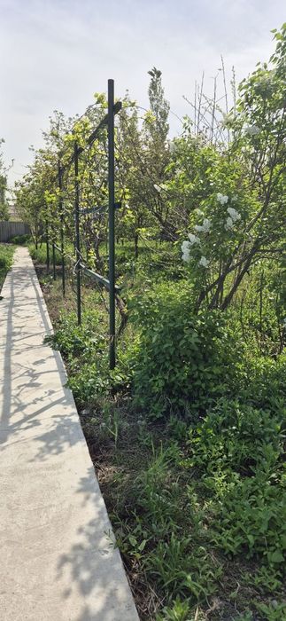 Участок 23 сотки, Новый Ташкентский район