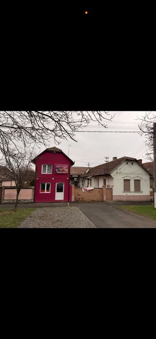 Dau in chirie casa pe Calea Timisorii