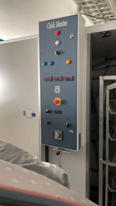 incubator oua strut