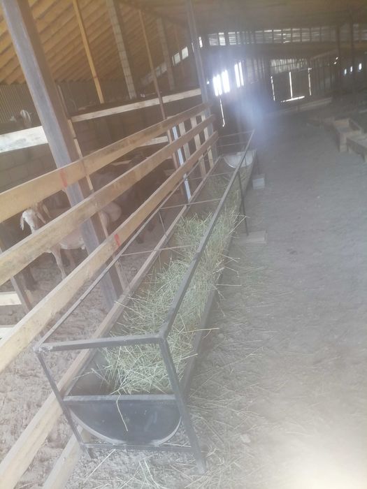 Астау кормушка науа