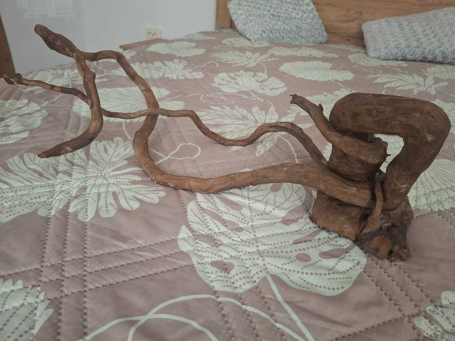 Корен за аквариум