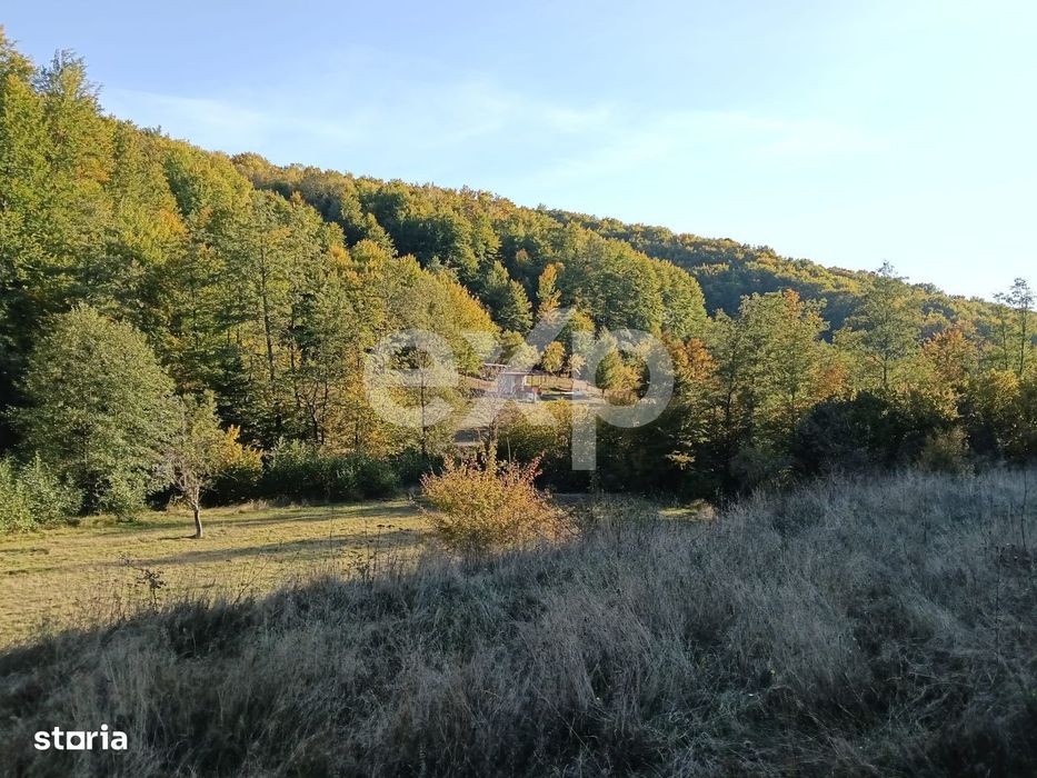 Terenul Pe Care Nu-L Cauți... Dar Cand Il Vezi, Il Vrei!