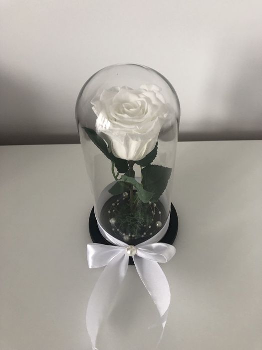 Cupola cu trandafiri criogenati conservati in cupola de sticla