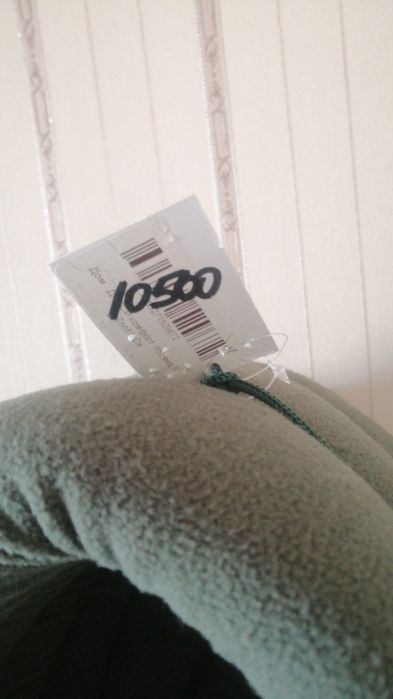 Кошка Британская короткошерстая