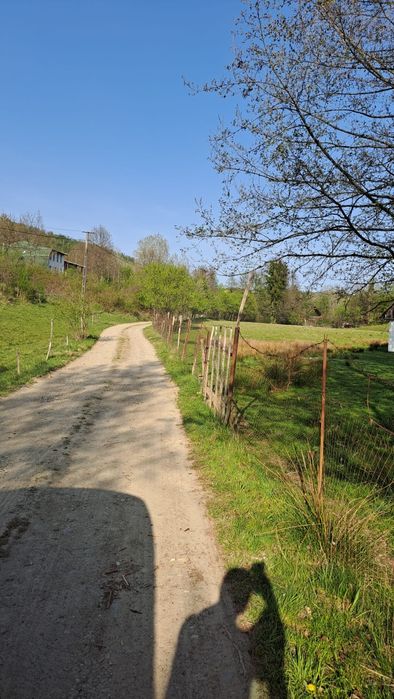 Teren de vanzare Intravilan Tăuții-Măgherăuș, Strada 57,  868mp