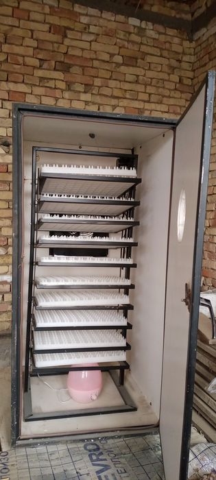 Ingkubatr 1000 talik .