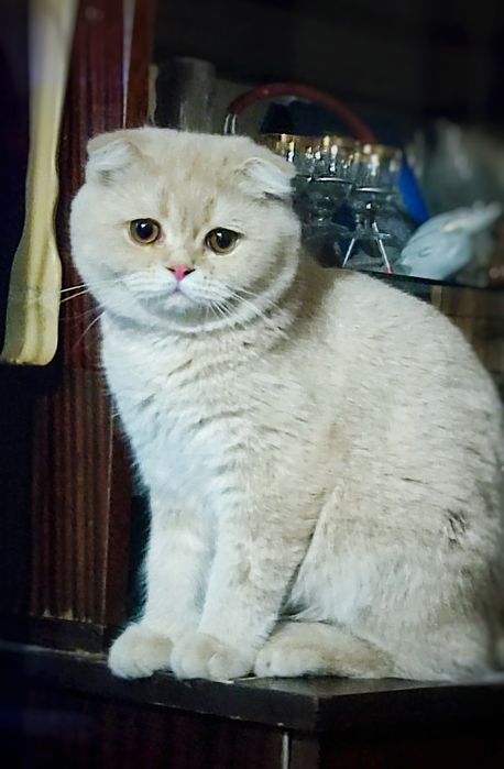 Приглашает на ВЯЗКУ