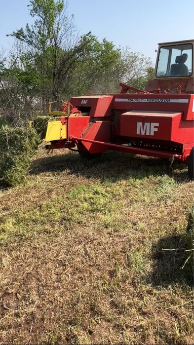 Бали Люцерна 14 лв