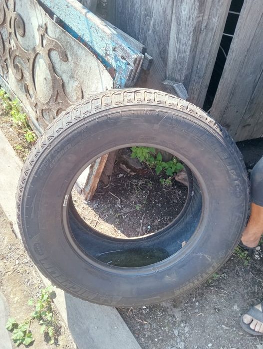 продам шин  доставка бесплатно