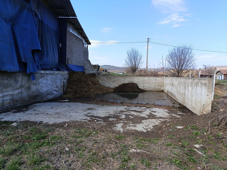 Vând fermă în Frata.