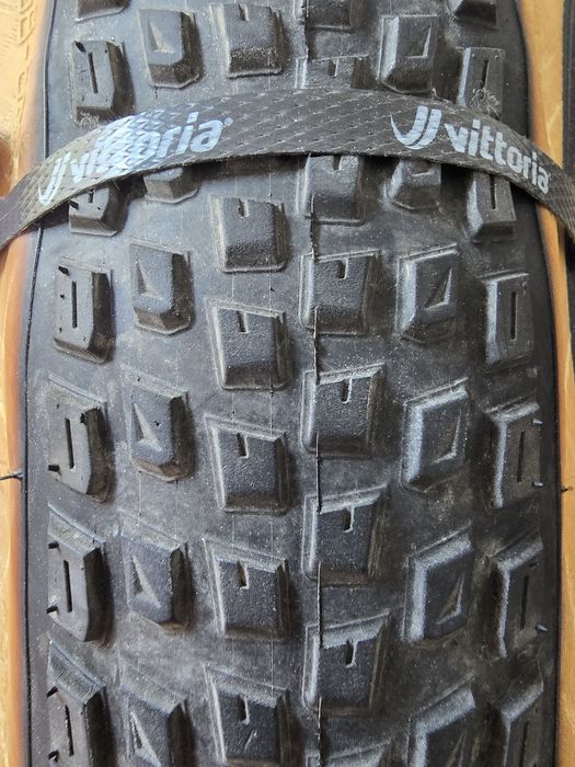 Specialized Renegade 29x2.35