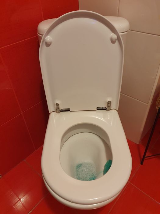 Vas Wc pe pardoseala Sanindusa, rezervor aparent si capac inclus